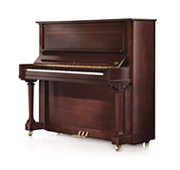 Instrument: Pianină